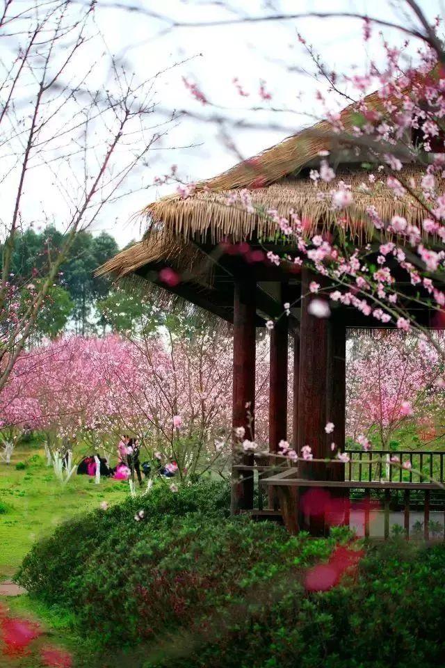 发挥中医药优势服务人民健康
