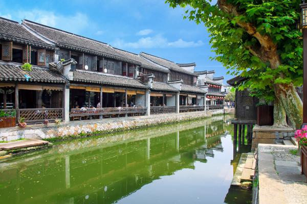 同心聚力向未来 | 围绕中心服务大局,立法引领护航发展