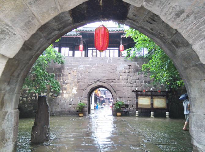 如何保护管理城市流浪动物？沪政协委员建议科技赋能数字化建档